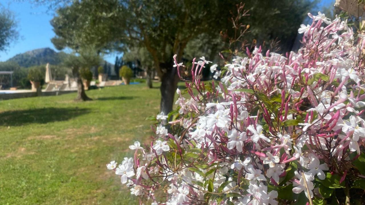 ארטה Agroturisme Son Cardaix מראה חיצוני תמונה